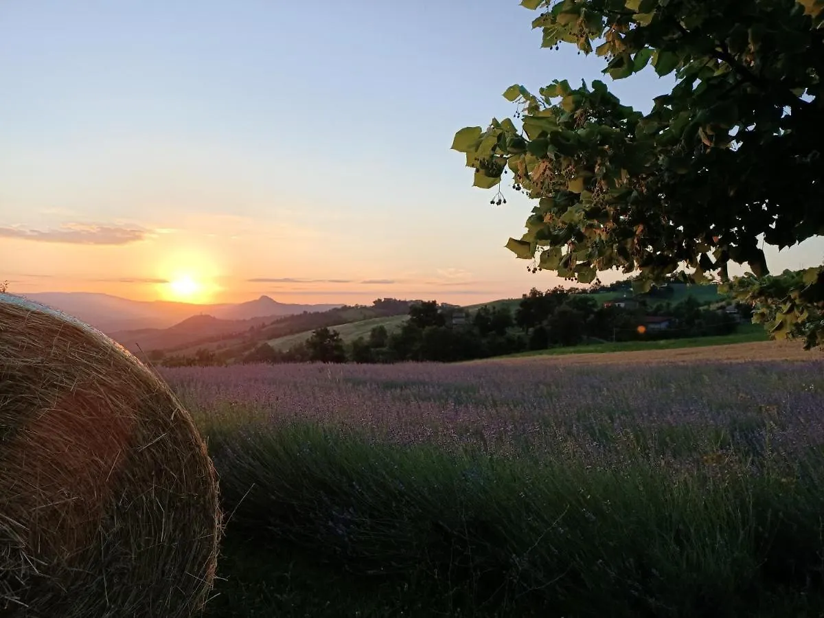 Farm stay Agriturismo La Casetta - Ospitalita Rurale Familiare Montese