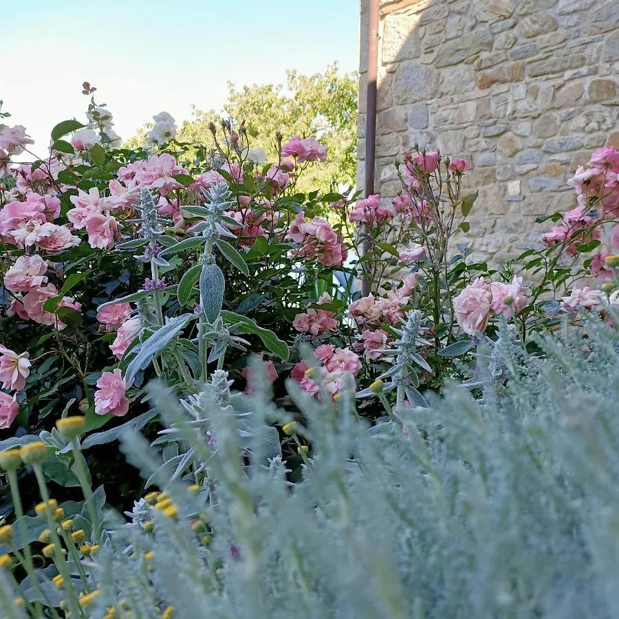 Agriturismo La Casetta - Ospitalita Rurale Familiare Montese